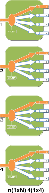 n1xN switch illustration